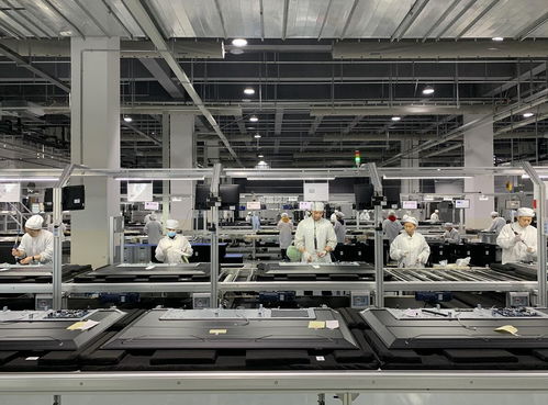 綿陽躋身國家級外貿基地序列，依托產業優勢驅動進出口增長